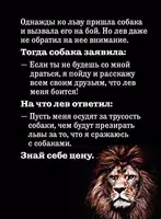 Мудрые фразы успешных людей screenshot 1