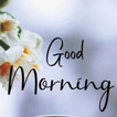 ikon Good Morning Images New 2024