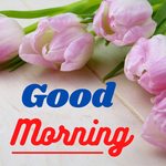 Good Morning Images icon