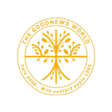 APK Good News Connect