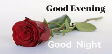 Good night evening message GIF