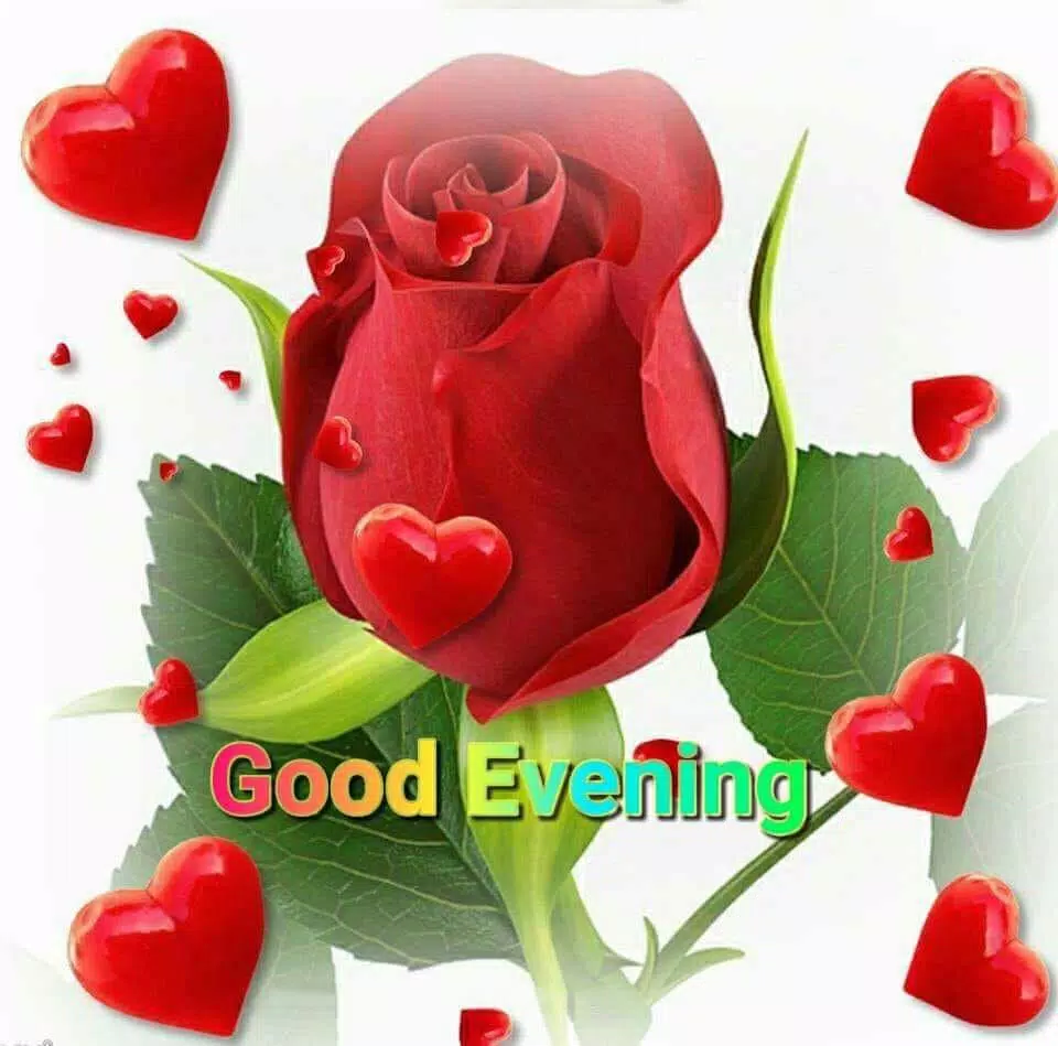 Good night evening message GIF APK for Android Download