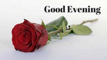 Good night evening message GIF ảnh chụp màn hình 3