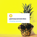 Snap Username ideas APK