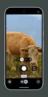 ‏Pixel کیمرا اسکرین شاٹ 6