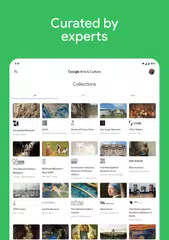 Google Arts & Culture XAPK download