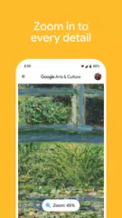 Google Arts & Culture XAPK download