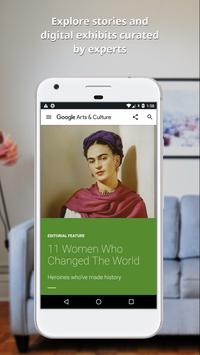 Google 艺术与文化 截图 6