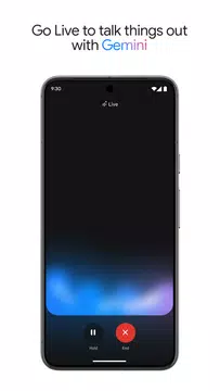 Screenshot 2 for Google Gemini
