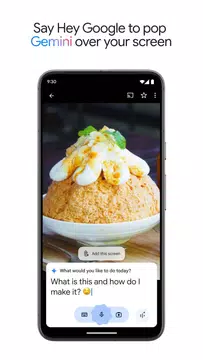 Screenshot 6 for Google Gemini