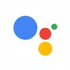 Assistant Google icône