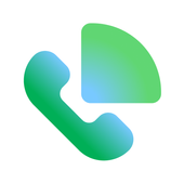 Google Voice icône