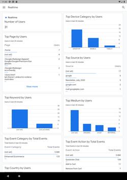 Google Analytics (分析) 截图 8