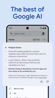 Google Chat