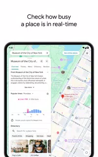 Google Maps