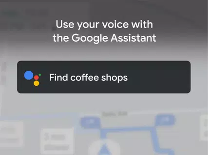 Google 地图