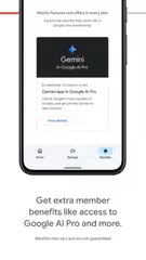 Google One XAPK download