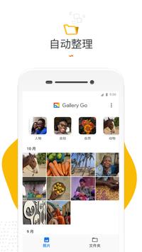 Google 相册推出的“图库精简版”应用 海报