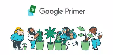 Google Primer