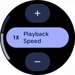Recorder XAPK download