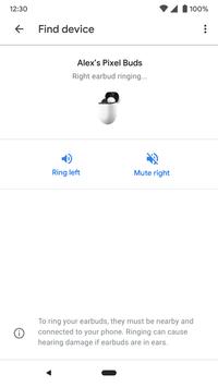 Google Pixel Buds 截图 2