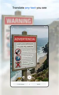 Google Translate