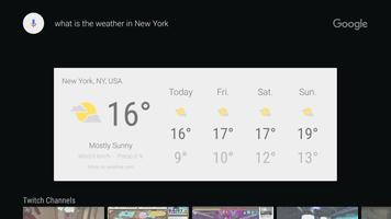 Google na Android TV screenshot 3