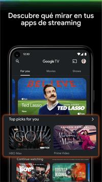 Google TV (anteriormente Google Play Películas) Poster