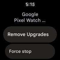 2 Schermata Google Pixel Watch Services