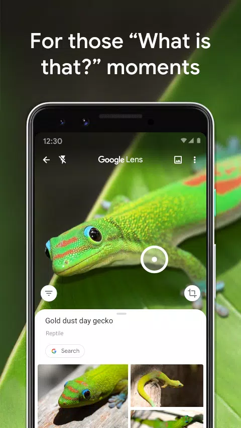 Google Lens APK for Android Download