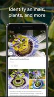 Google Lens syot layar 2