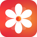 Photos Gallery APK