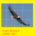 ”Easy Puzzle Game