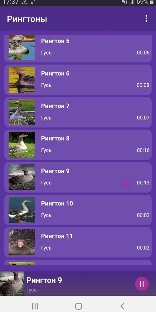 Goose RINGTONES and WALLPAPERS APK للاندرويد تنزيل