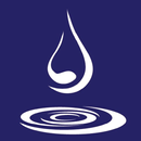 David Boissons APK