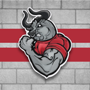 Bulls Factory-APK