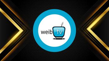 WEIB SMART TV স্ক্রিনশট 1
