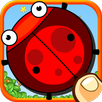 Catch Naughty Bugs APK