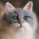 Puzzle: Woolen cats toys APK