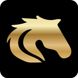 Horse Tips International