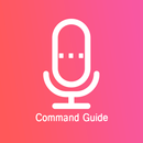 guide for ok google voice comm APK