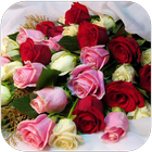 Rose Wallpaper - Rosely biểu tượng