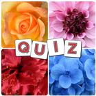 Trivia : Flower Star Quiz 아이콘