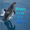 Happy Leap Day 2024 icon