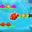 ”Fish Sort Color Puzzle Game