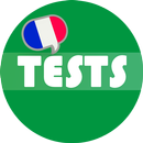 French Grammar Test APK