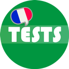 French Grammar Test ícone