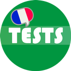 French Grammar Test icono