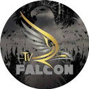 TvFalcon Gold APK