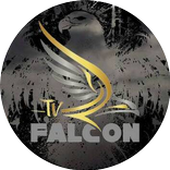 TvFalcon Gold